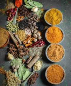 Untitled design - 2026-01-27T174654.314